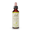 Floral Bach Chestnut Bud 20ml