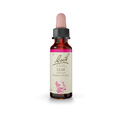 Floral Bach Elm 20ml