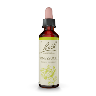 Floral Bach Honeysuckle 20ml