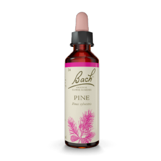 Floral Bach Pine 20ml