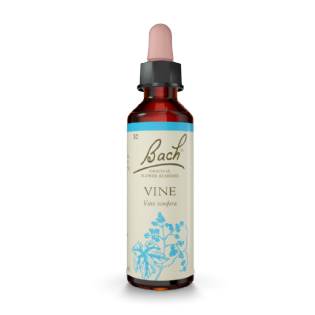 Floral Bach Vine 20ml