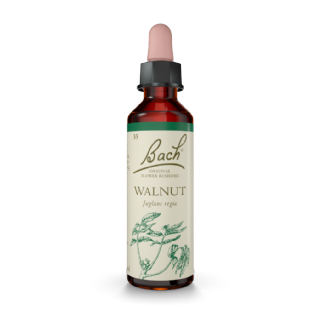 Floral Bach Walnut 20ml