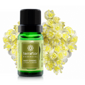 Óleo Essencial de May Chang Terra Flor 10ml