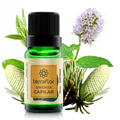 Óleo Essencial Sinergia Capilar Terra Flor 10ML