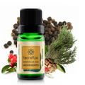 Óleo Essencial Sinergia do Movimento 10ml